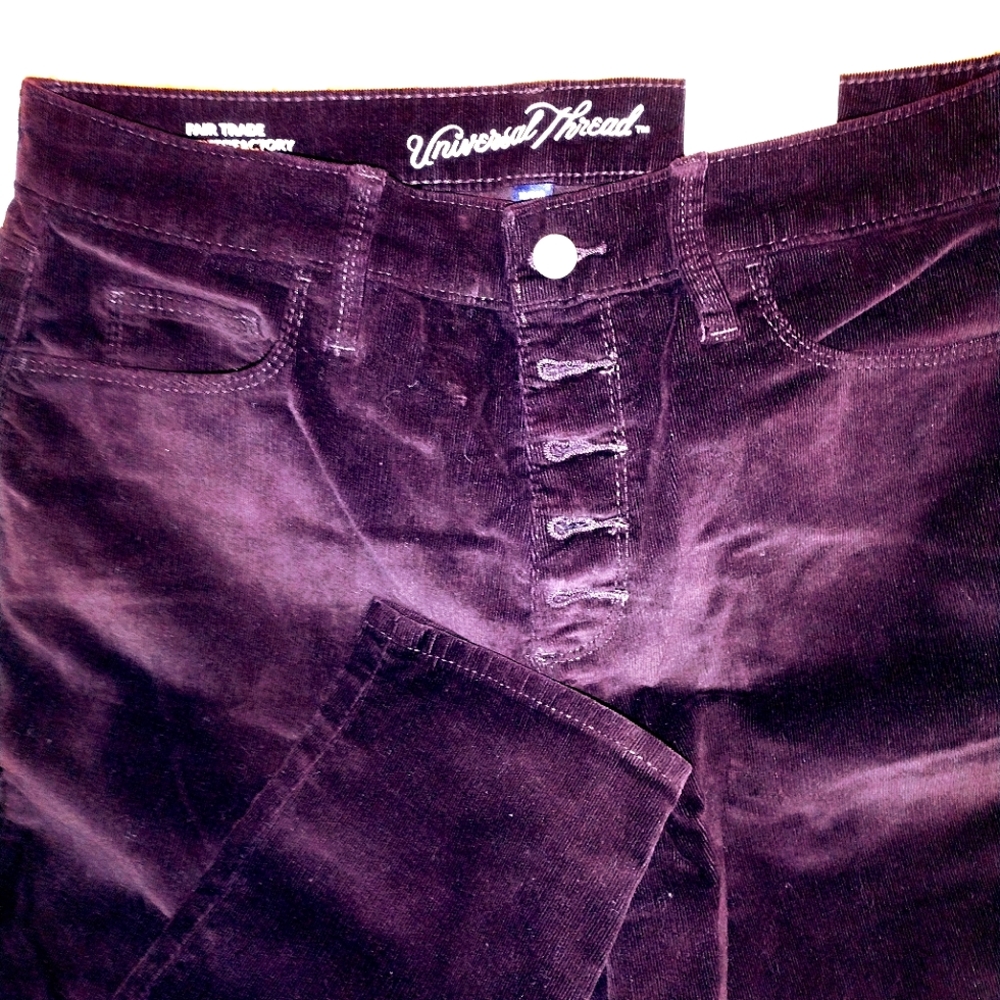 Universal Thread size 10 skinny purple velour pants
